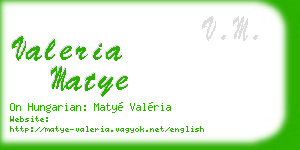 valeria matye business card